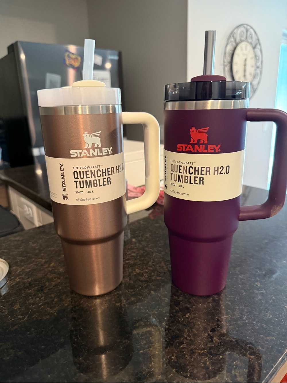 Stanley Quencher H2.0 Tumbler - rose quartz and Plum